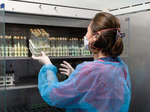 Biosafety level 3 laboratory