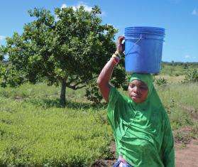 A woman carrying a bucket of water on her head in Mozambique