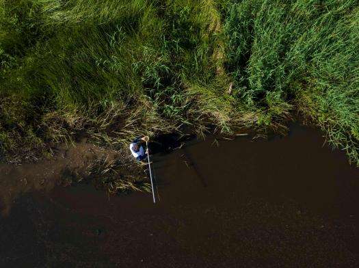 Venezuela: How studying mosquito behavior help bring down malaria in Sucre state