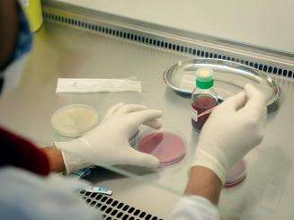 MSF bio lab at MSF’s Aden hospital